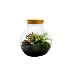 Planten in glas